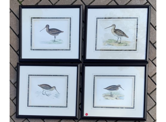 4 BEVERLY MORRIS 1860 HAND COLORED GAME BIRDS SNIPES FRAMED ENGRAVINGS PURCHASED SOTHEBYS 90’S
