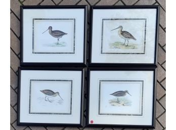 4 BEVERLY MORRIS 1860 HAND COLORED GAME BIRDS SNIPES FRAMED ENGRAVINGS PURCHASED SOTHEBYS 90’S