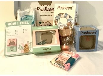 PUSHEEN SUMMER BOX- FLOAT, DISH, HOW I FEEL, WALL TAPESTRY, ETC - WE CAN SHIP!