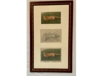 CHARLES KNIGHT FOXES 3 VINTAGE CARDS FRAMED SET  16 X 27- WE CAN SHIP!