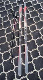 Pair Of Alpina 'Control' Skis And 'Blizzard' Poles