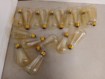 17 Edison Lightbulbs
