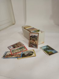 Box Of Tea Cards