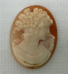 Vintage Carved Shell Victorian Woman Portrait Cameo