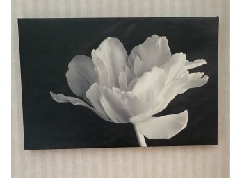 ELEGANT BLACK & WHITE FLOWER PRINT ON CANVAS GREAT SCALE 36' X 24'