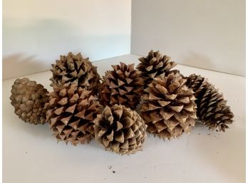 Lot Of Holiday Decorative Large Pinecones Pine Cones Measuring 7' By 7'