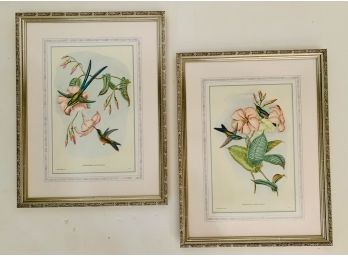 Pair Of Decorative Hummingbird Prints