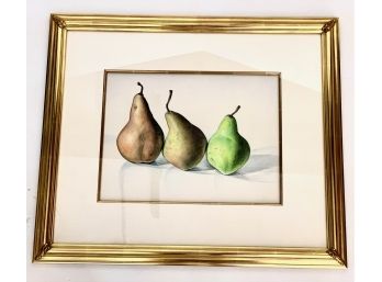 Original Colored Pencil Still Life  Of Pears Fruit - Signed By M. Rabertz