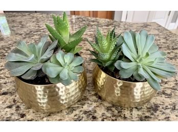 Pair Of Hammered Brass Planters With Succulents Plants