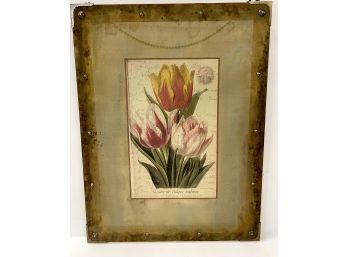 Vintage Tulip Botanical Print On Mesh Metal Canvas