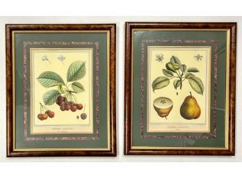 Pair Of Botanical Prints In Tortoiseshell Frames