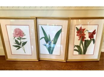 Lovely Set Of Three Botanicals Framed And Matted
