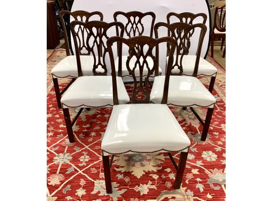 Set Of 6 Chippendale Mahogany Dining Chairs Featuring Easy To Clean Brilliant White Seats With Nailheads