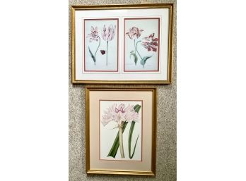 Lovely Set Of Two Framed Botanicals The Perfect Gift This Holiday Season