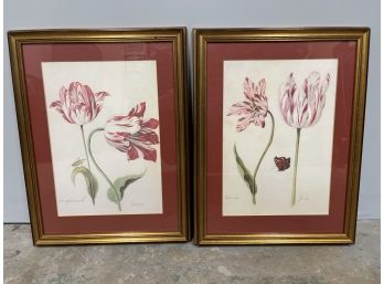 Pair Of Peppermint Tulips Wall Art