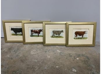 4 Vintage Cow Framed Artworks
