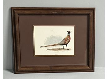 Pheasant Print