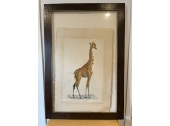 Framed Giraffe Art