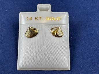 14K Yellow Gold Shell Earrings