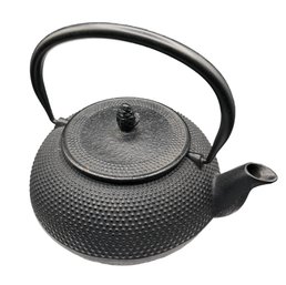 Japanese Cast Iron Teapot Kettle