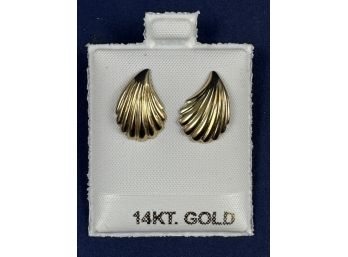 14K Yellow Gold Shell Earrings