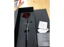 Waterford Crystal Red Rose In Original Gift Box