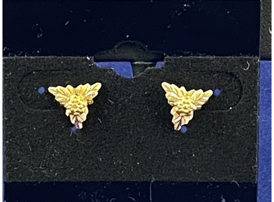 10K Yellow Gold Earrings With Rose Gold Accents