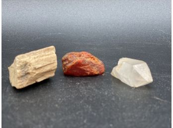 Set Of Rocks - Petrified Wood, Quartz & Jasper