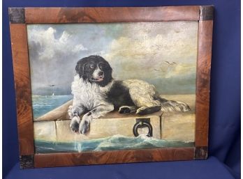 A Distinguished Member Of The Humane Society, Antique Painting On Wood Of Newfoundland Dog
