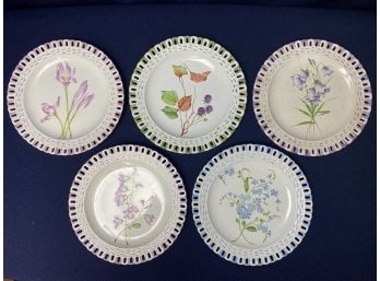 Vintage French Rovina Epinal Plates, Set Of 5 Floral