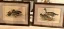 Folio-Size Lithographs John Gould's Birds Of Europe 1830s Goose & Pochard