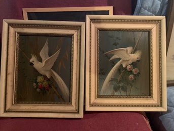 Two Alfonso Toran Bird Oil Paintings Cockatoo