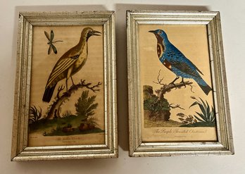 Two George Edwards Antique Bird Hand Colored Engravings - 1799 & 1803