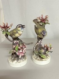Royal Worcester Dorothy Doughty Red Eyed Vireos Set
