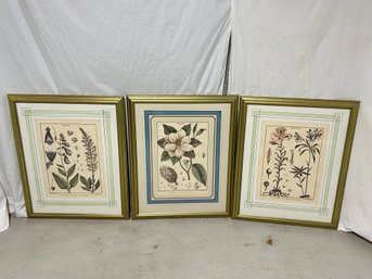 Large Modern Botanical Framed Prints