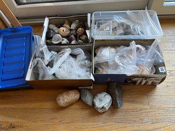 Large Lot Of Fossils And Shells