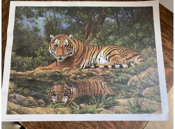 Signed And Numbered 1979 Tiger Print By James E Faulkner