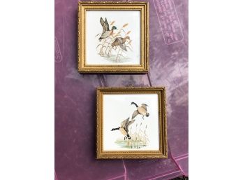 Set Of Framed Duck Geese Bird Tiles