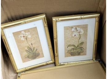 Set Of Iris Flower Prints Gold Frames