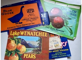 Vintage Fruit Crate Label Collection - Unused Condition