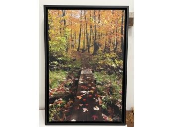 Autumn Colors - Large Photo Enhanced Painting - Signed