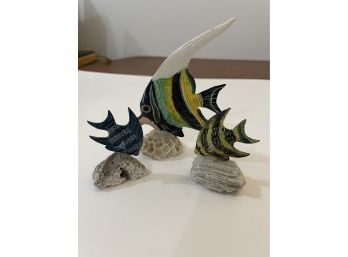 Wood Fish On Coral Collection