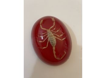 Scorpion Paperweight