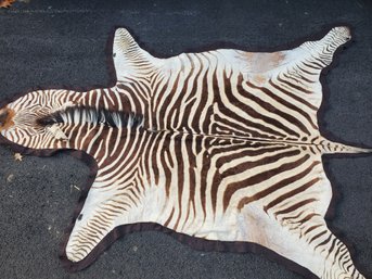 Amazing Large Zebra Skin Rug