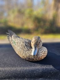 Beautiful Tricia Veasey Duck Decoy With Turned Head