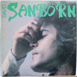1ST YEAR RELEASE 1976 DAVID SANBORN SELF TITLED VINYL RECORD BS 2957 WARNER BROS RECORDS