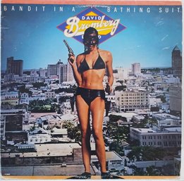 1978 RELEASE DAVID BROMBERG BAND-BANDIT IN A BATHING SUIT VINYL RECORD F 9555 FANTASY RECORDS.