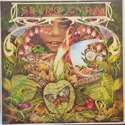 IST YEAR 1979 RELEASE SPYRO GYRA-MORNING DANCE VINYL RECORD INF-9004 INFINITY RECORDS
