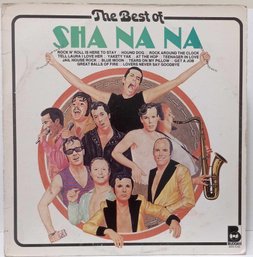 1ST YEAR RELEASE 1977 THE BEST OF SHA NA NA VINYL RECORD BDS 5703 BUDDAHRECORDS.