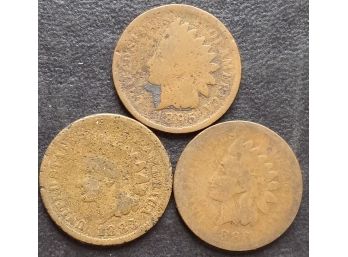 2 1883,1895 INDIAN HEAD CENTS(LOT OF 3)